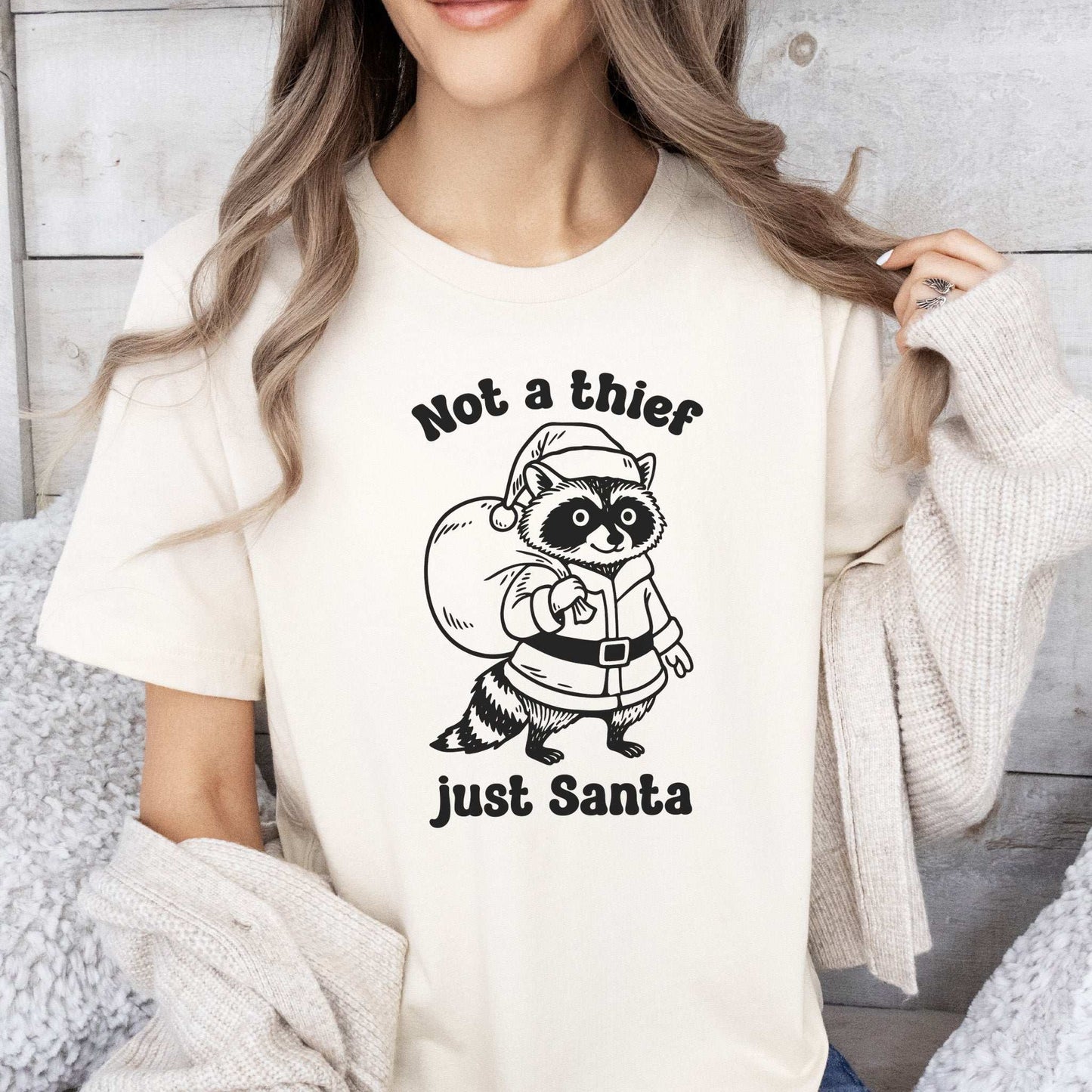 Shadow Santa Raccoon T-Shirt – Funny Feral Christmas Gift Tee