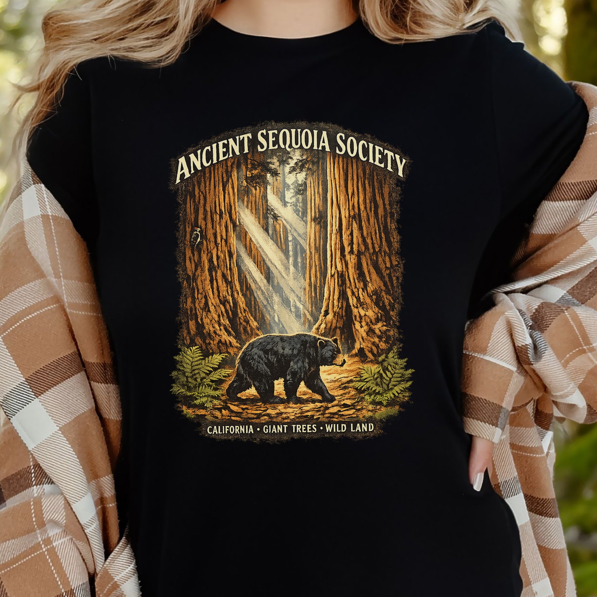 Sequoia National Park Bear Shirt – Ancient Sequoia Society T-Shirt