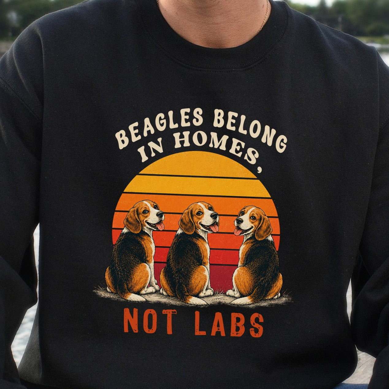 Beagles Belong in Homes Not Labs Rescue Dog Lover Sunset Advocacy Sweatshirt