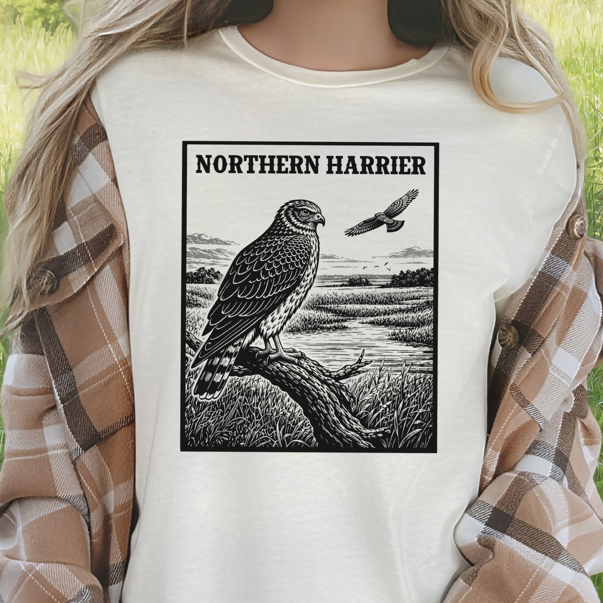 Northern Harrier Vintage Raptor Illustration Birdwatching T-Shirt