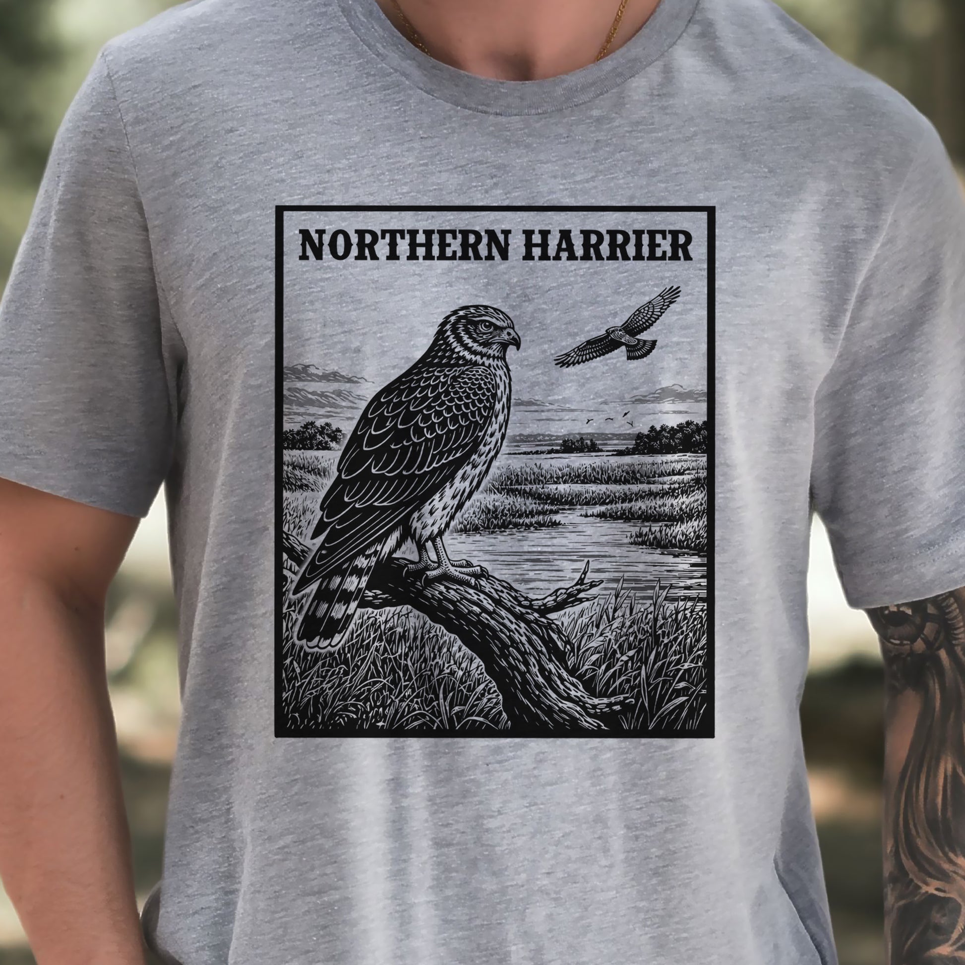 Northern Harrier Vintage Raptor Illustration Birdwatching T-Shirt
