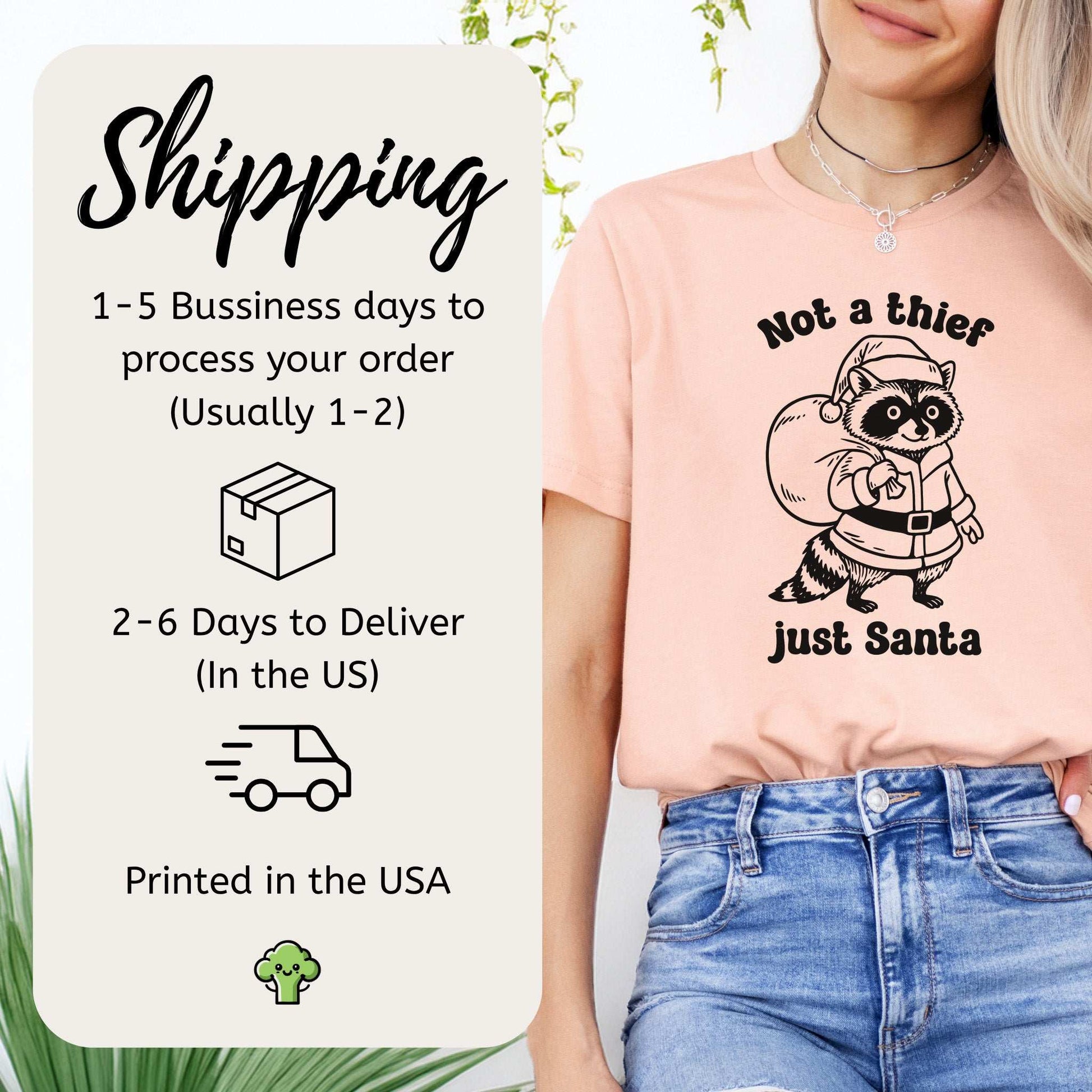 Shadow Santa Raccoon T-Shirt – Funny Feral Christmas Gift Tee