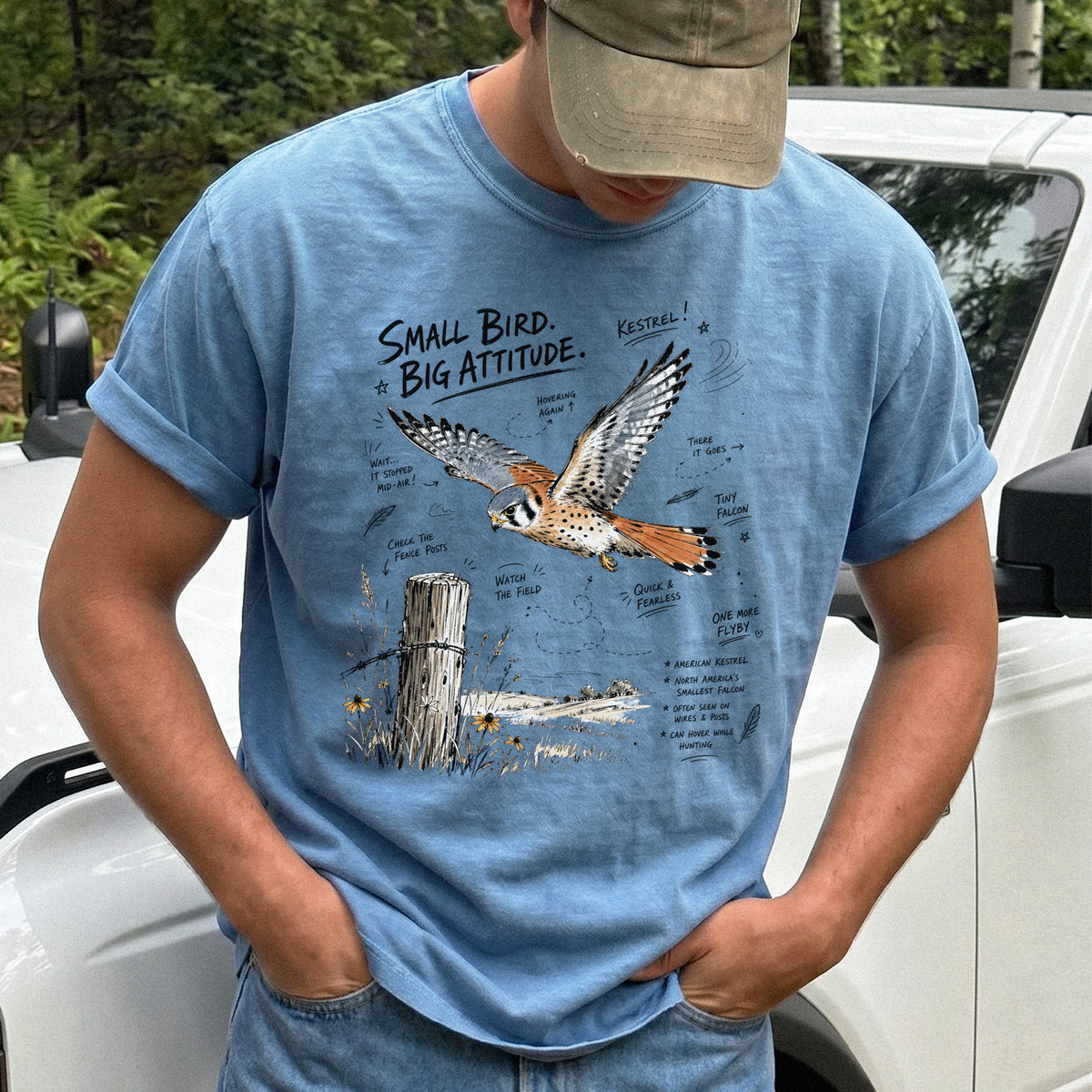 Small Bird, Big Attitude Comfort Colors Shirt – American Kestrel design of an American Kestrel illustrated in mid-flight above an open field, with fence-post details and field-note style callouts, printed on a Blue Jean T-shirt.