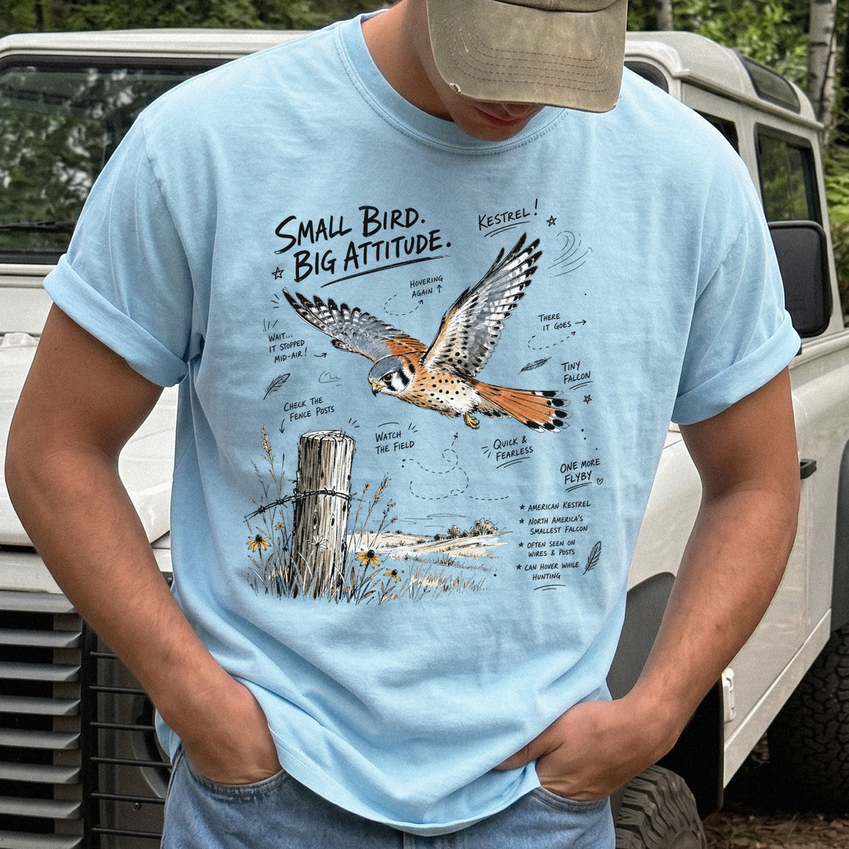 Small Bird, Big Attitude Comfort Colors Shirt – American Kestrel design of an American Kestrel illustrated in mid-flight above an open field, with fence-post details and field-note style callouts, printed on a Chambray T-shirt.