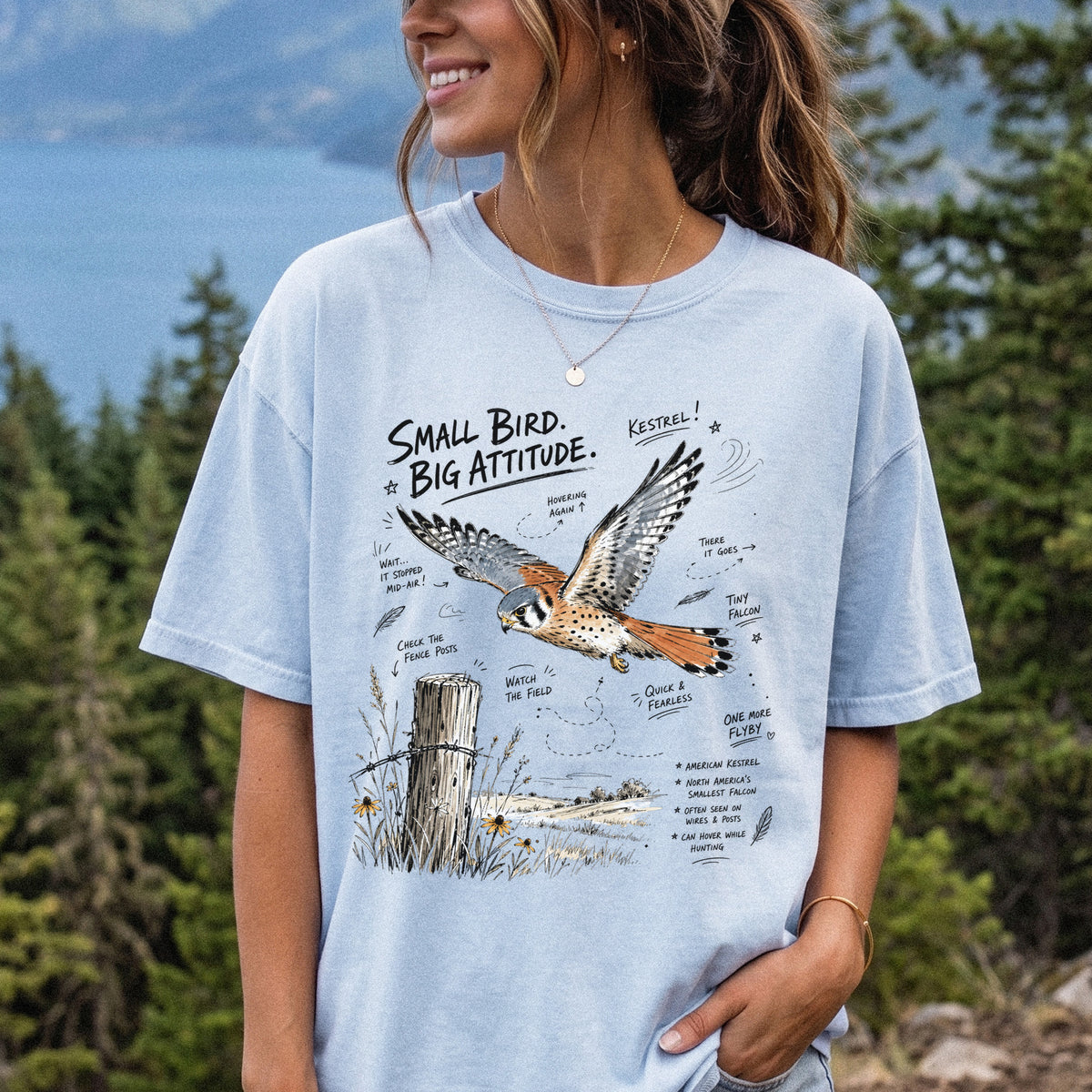 Small Bird, Big Attitude Comfort Colors Shirt – American Kestrel design of an American Kestrel illustrated in mid-flight above an open field, with fence-post details and field-note style callouts, printed on a Chambray T-shirt, worn by a woman.