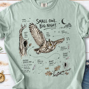 Small Owl Big Night Comfort Colors Shirt – Eastern Screech Owl Tee