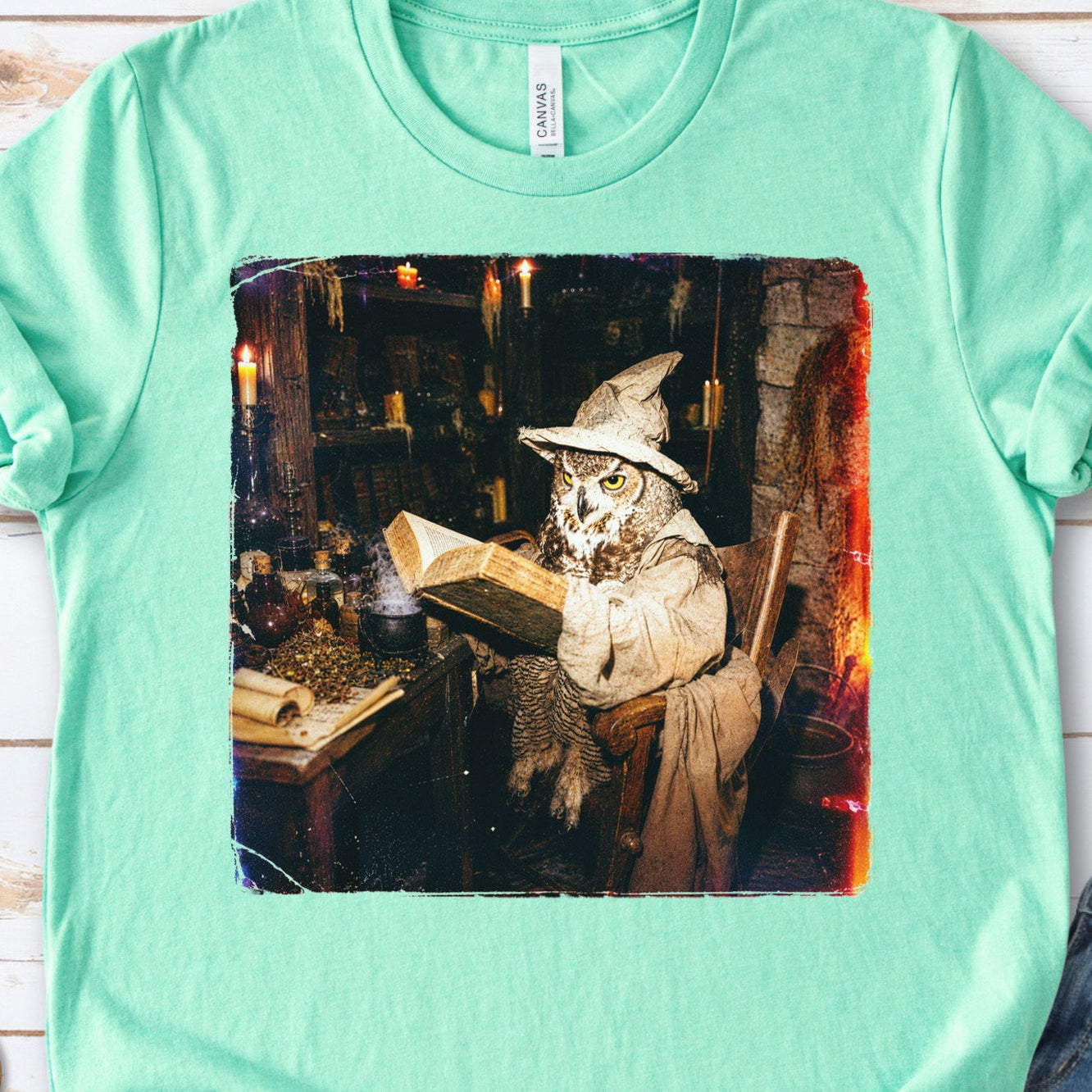 The Spellbound Owl Wizard Dark Academia Fantasy T-Shirt