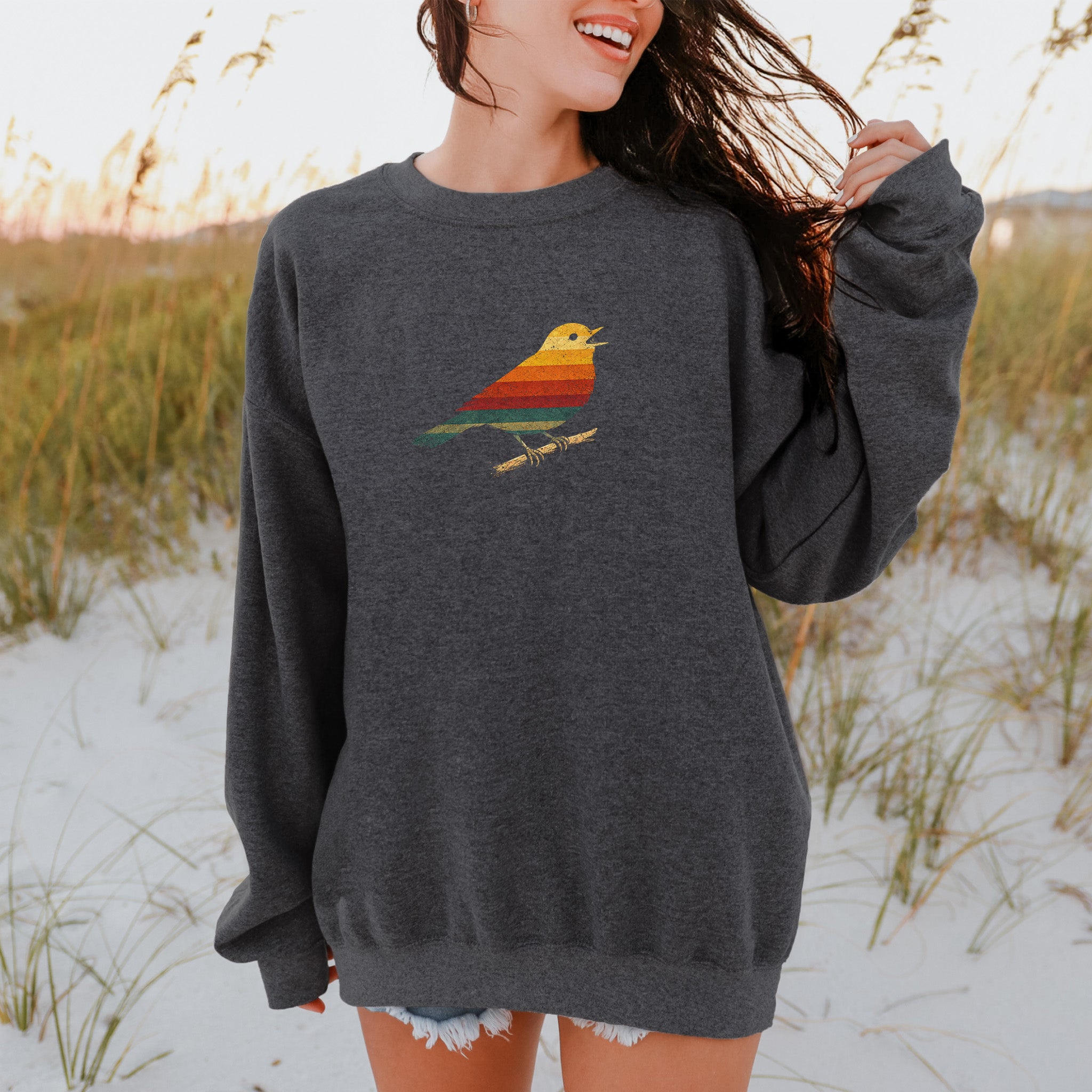 Vintage Rainbow Bird Retro Minimalist Birdwatcher Vibes Sweatshirt