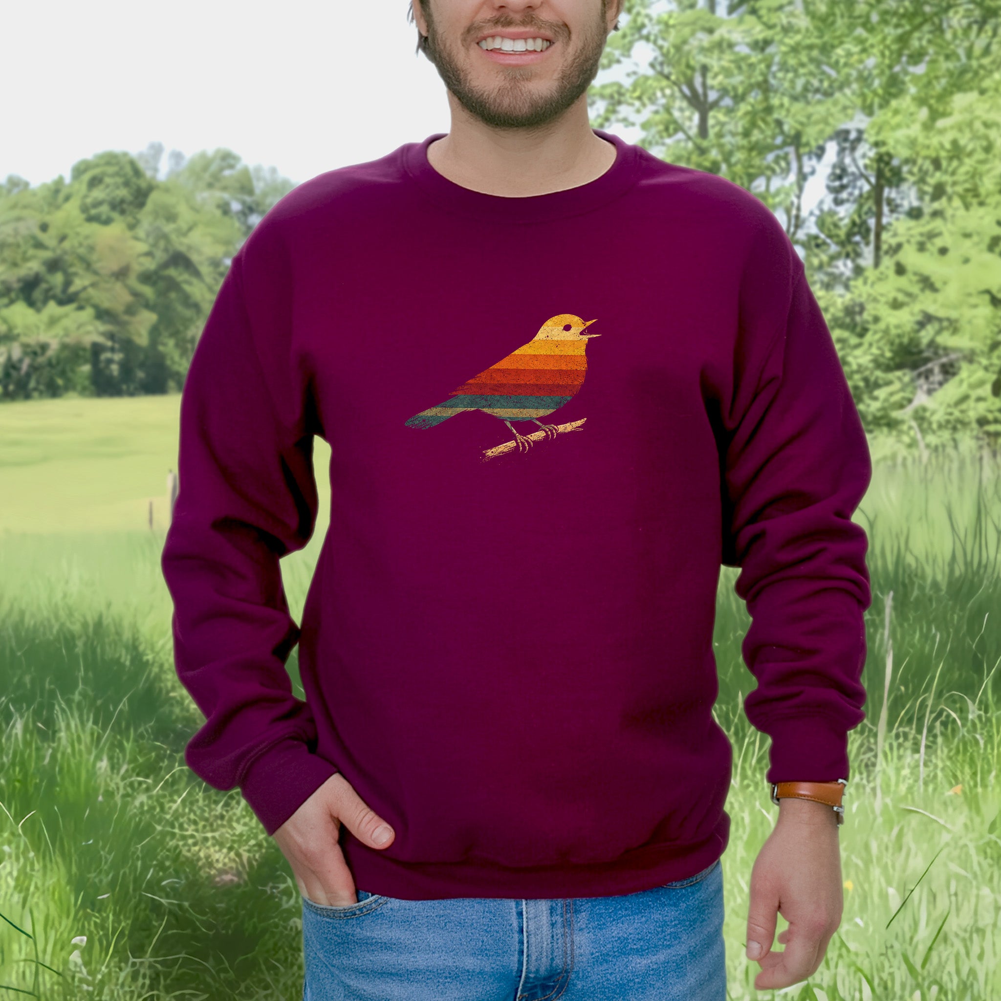 Vintage Rainbow Bird Retro Minimalist Birdwatcher Vibes Sweatshirt
